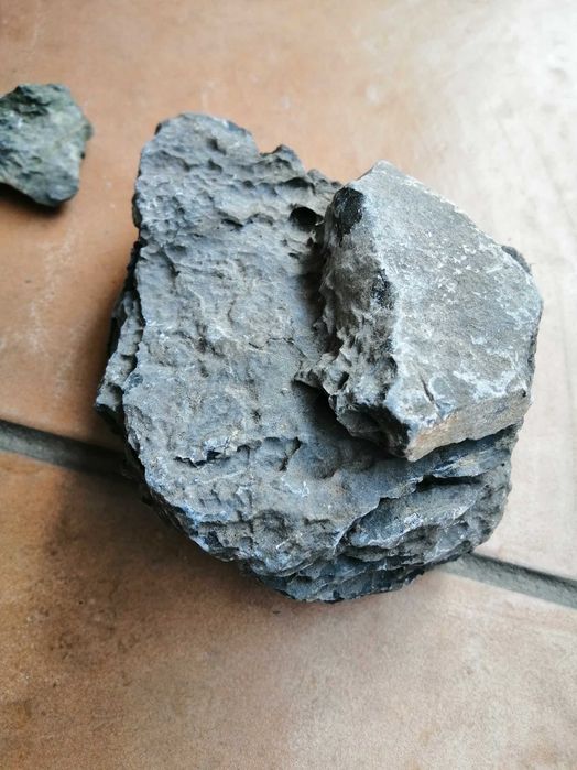 Canyon Ryohux aquascaping