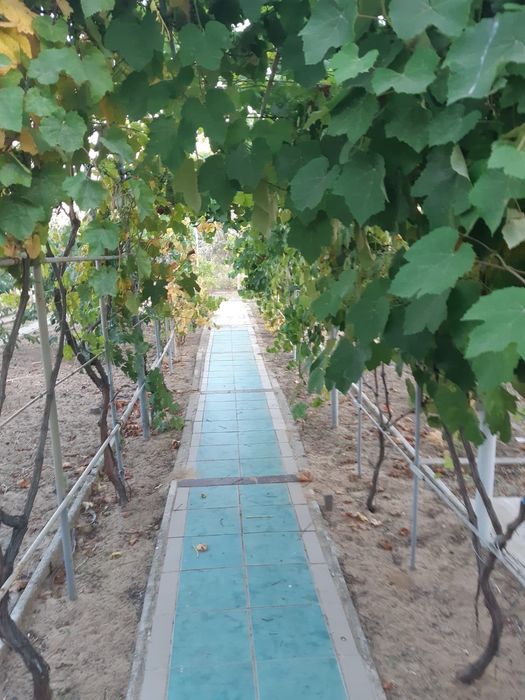 Продам Гараж-дом