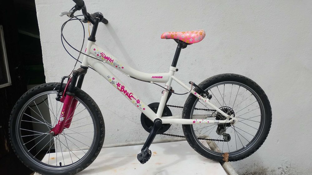 Bicicleta roda 20 polegadas
