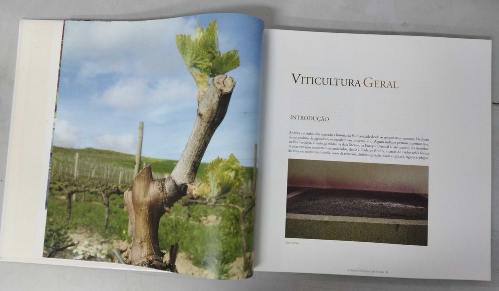 A Vinha e o Vinho em Portugal. Edição Verbo
