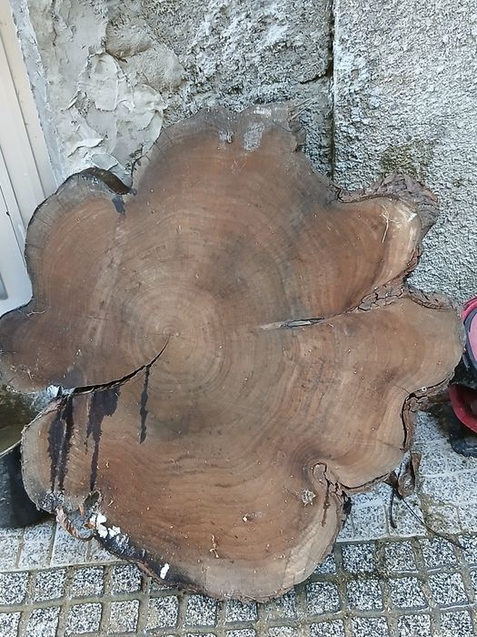 Rodela de Austrália