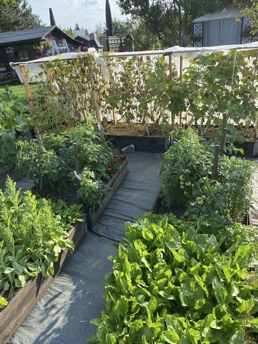 Odstąpię prawo do działki ROD – Wrocław FAT, Nad Ślęzą