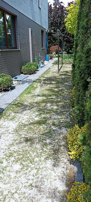 Aeracja rurkowa Wertykulacja trawnika Piaskowanie