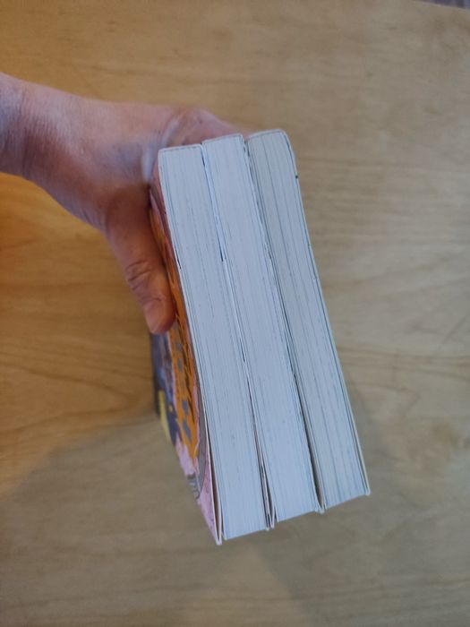 Seria książek Agent Stitch