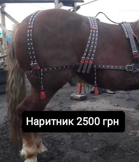 Виготовляємо упряж для вашого коня,обродь