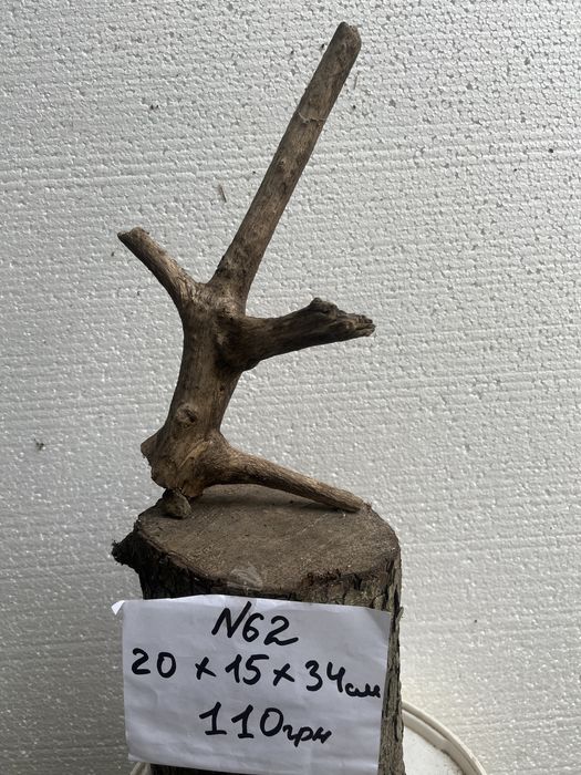 Коряги в акваріум