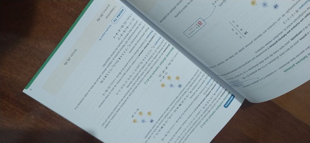 Livro preparação provas ModA