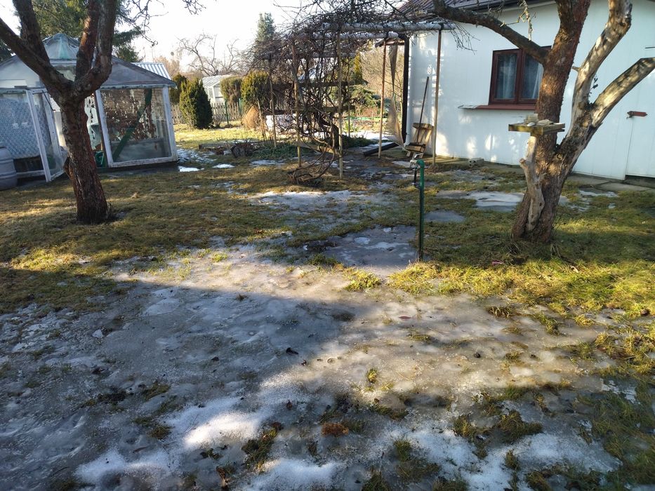 Działka ROD 42 Pułku Piechoty