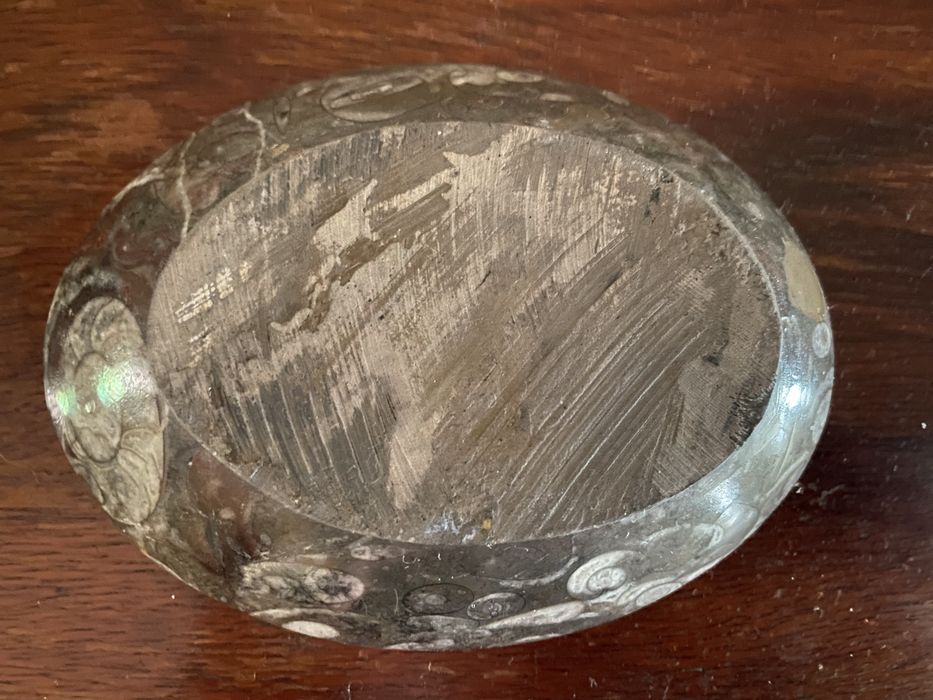 Taça saboneteira fosseis amonite pedra polida