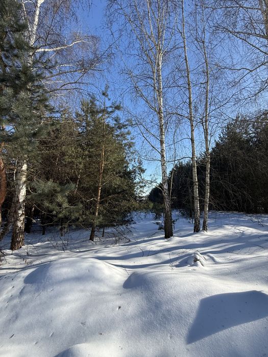 Продаються дві суміжні ділянки 0.15га та 0.2га, с. Лубʼяна