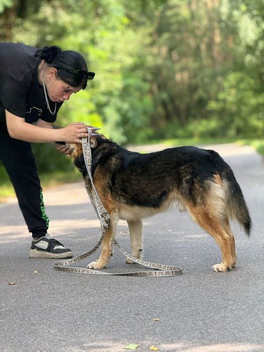 Najwspanialszy Ege szuka domu!