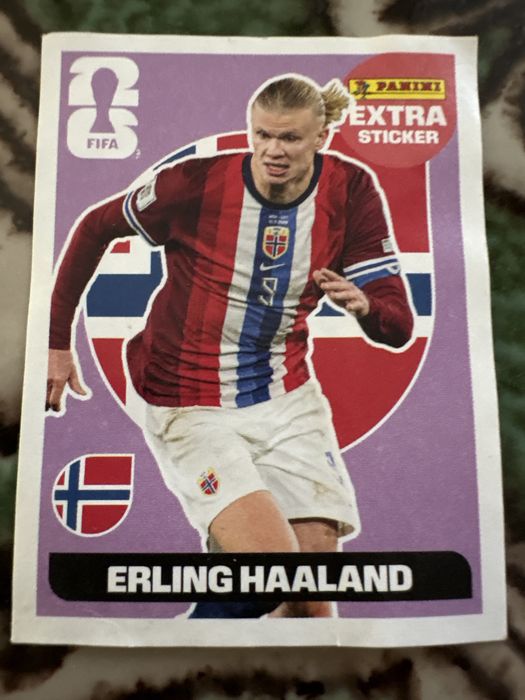 Erling Haaland lengend roxo