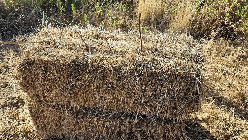 Fardos feno pequenos 2025