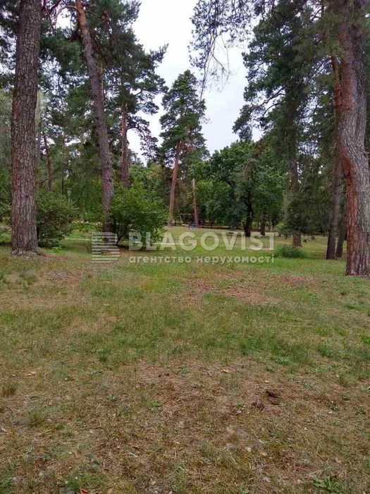 Продаж Земельної Ділянки 9 га в Козині серед Лісу ! База Відпочинку