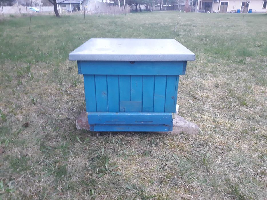 Ul Dadanta ocieplany 10-ramkowy korpusowy od Sułkowskiego