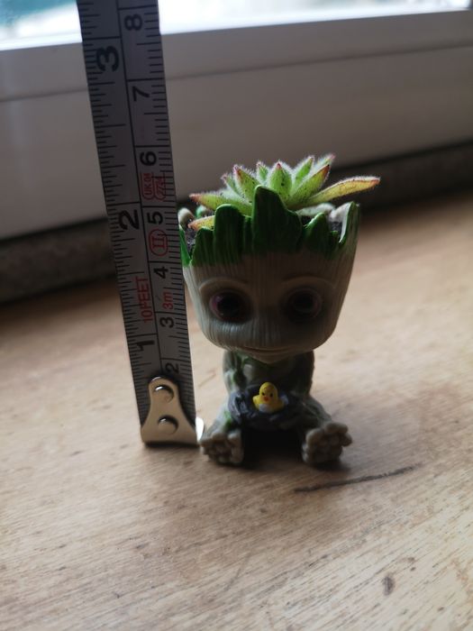 Vaso boneco com suculenta