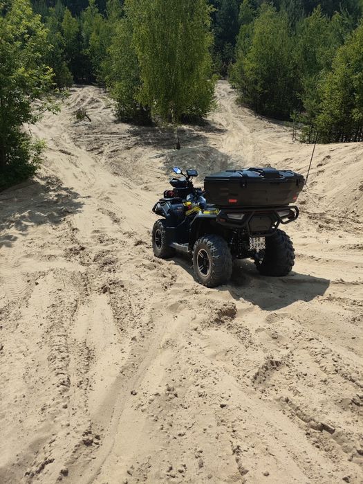 Quad  X Wolf 700