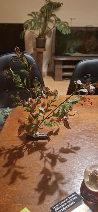 Roslinki sztuczne do akwarium