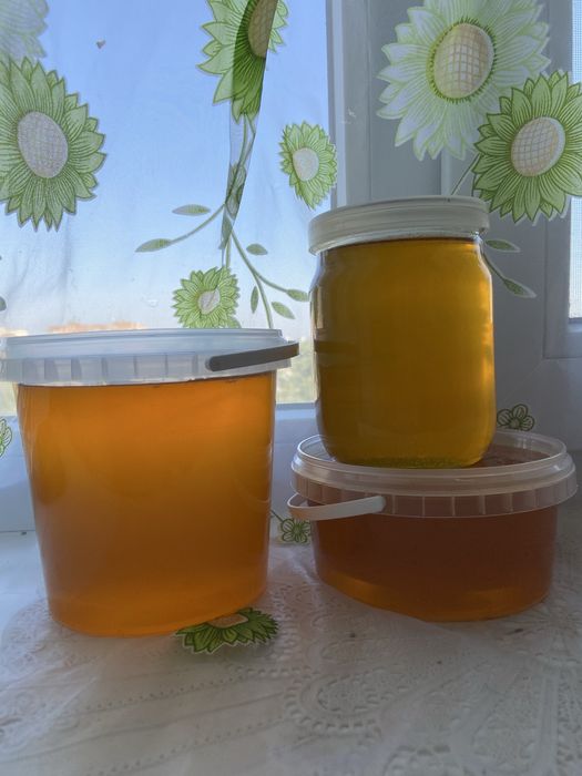 Продам мед свіжий