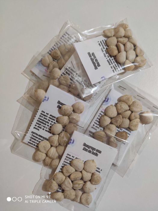 Noz da Índia - Emagrecimento saudável