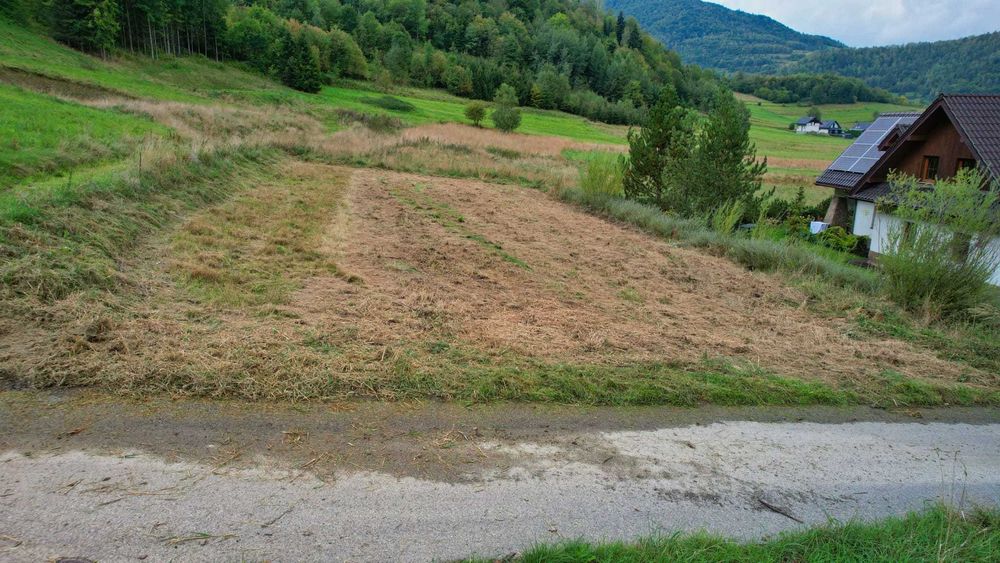 Zdjęcie 4