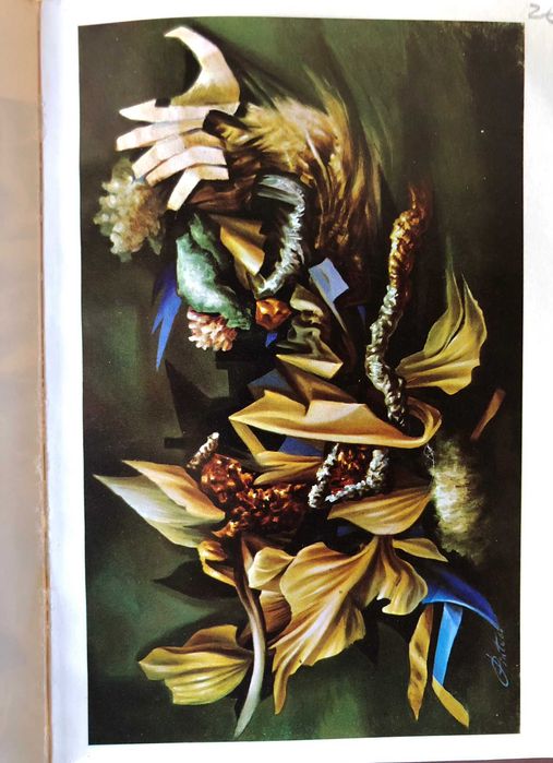 Cândido de Costa Pinto - Becker d’Assumpção