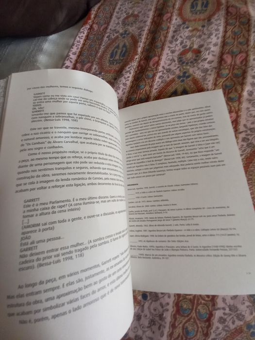 Revista especial sobre Augustina Bessa Luís