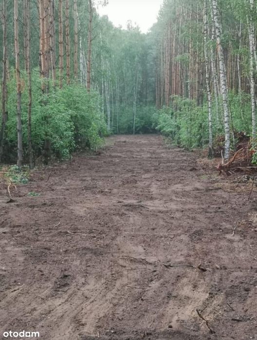 Działka z WZ przy jeziorach i lasach Krzewent