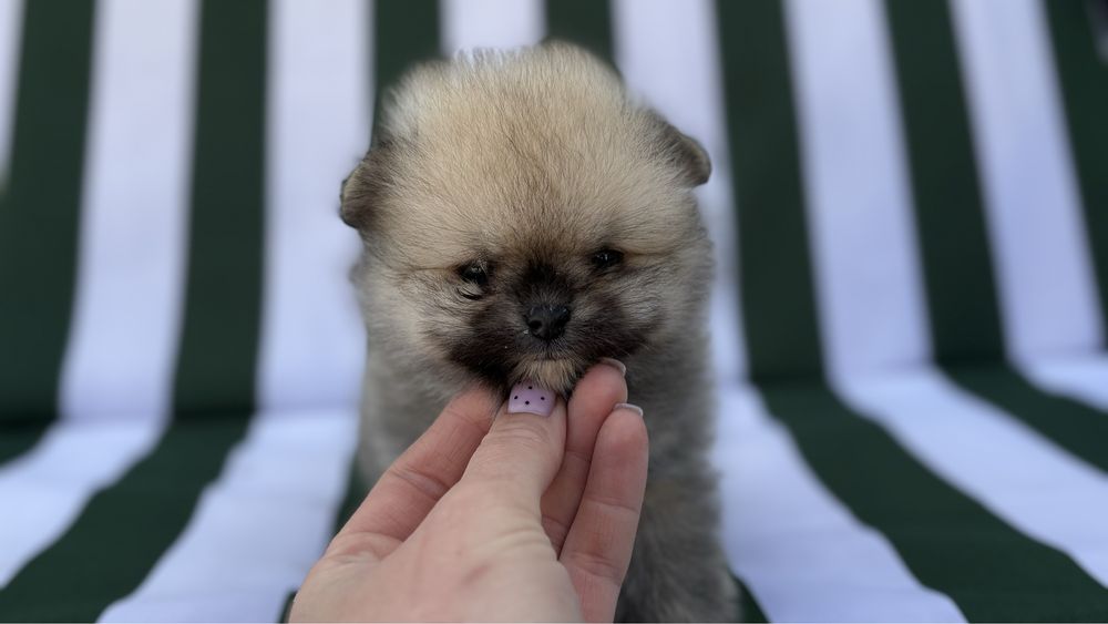 Манюня хлопчина