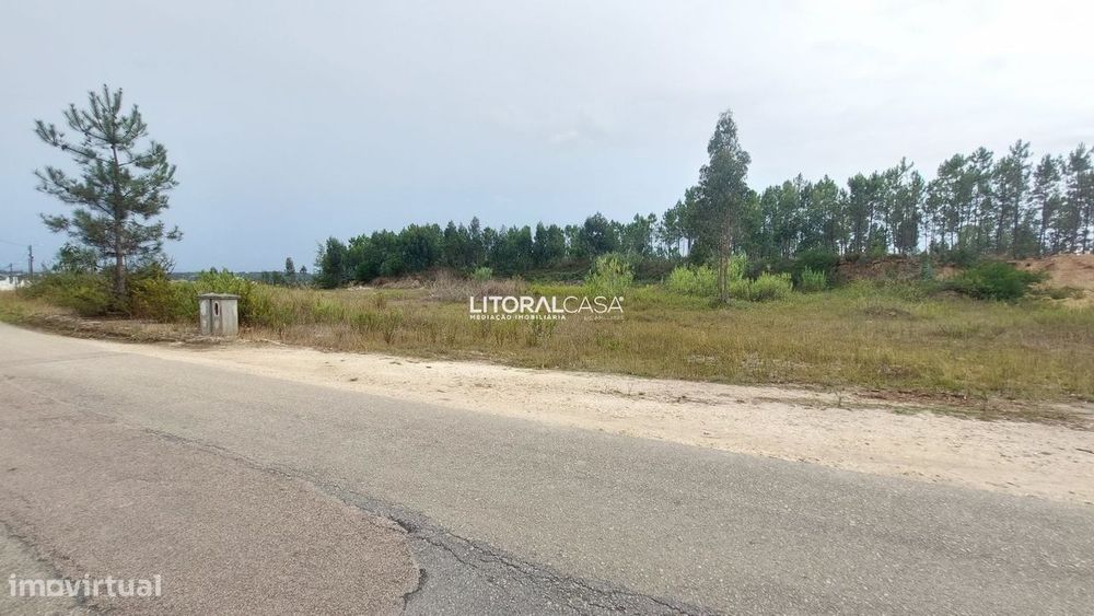 Lote de terreno p/ construção | Carregal