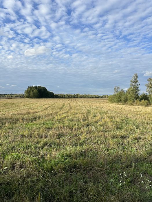 Продаж 84 га земельна ділянка