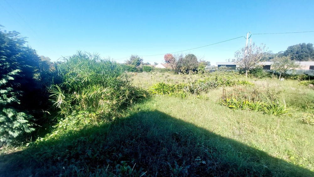 Quintinha arrendar Maia