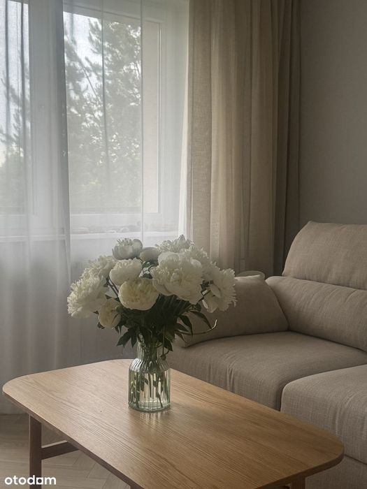 Jasne 3 pokoje po generalnym remoncie | balkon | 52m | zielona okolica - Widok 5