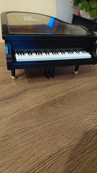 Guarda jóias plástico