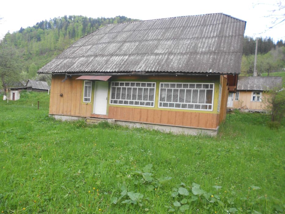 Житловий будинок та земельна ділянка 55,3 сот. с.Козьова