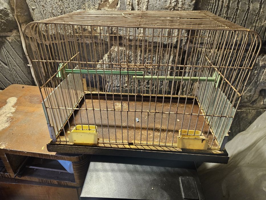 Klatka dla kanarka, ptaków