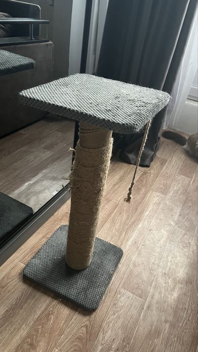 Когтеточка для котиков