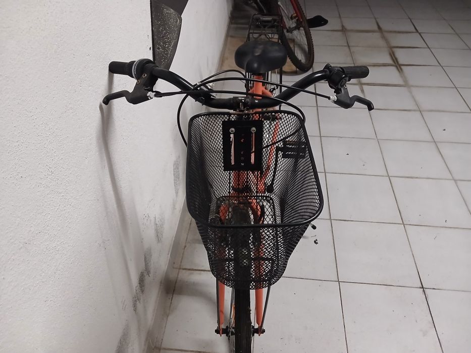 Bicicleta Adulto