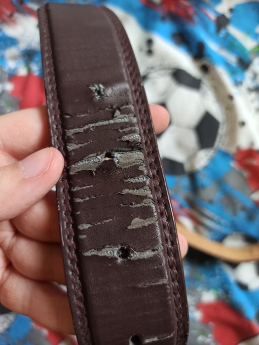 Pasek do spodni męski brązowy