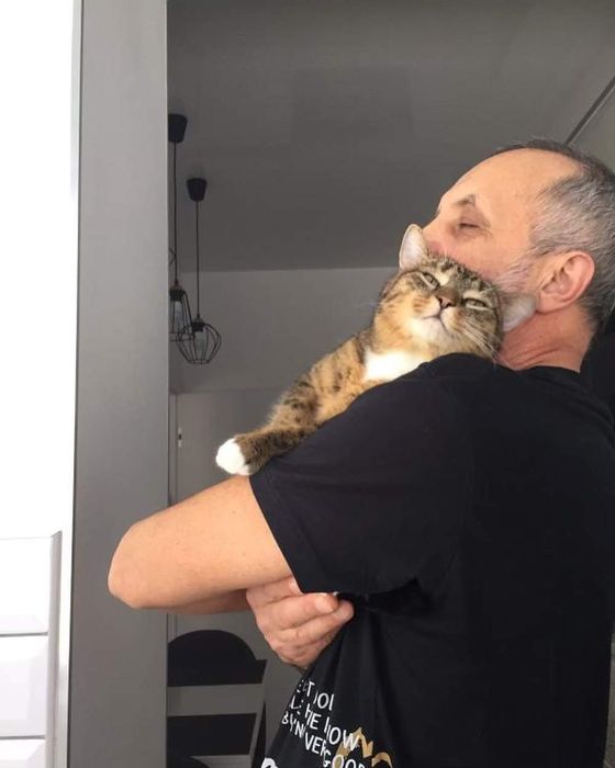 Пропала кошка, Хорошево