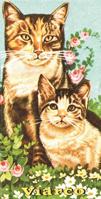 Viarco - 1 caixa de lápis ANTIGA com 6 cores