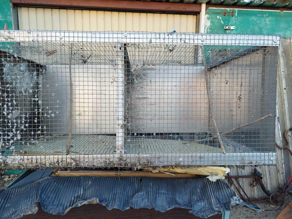 Gaiolas para pássaros duas