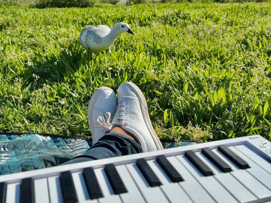 Piano portátil carry on