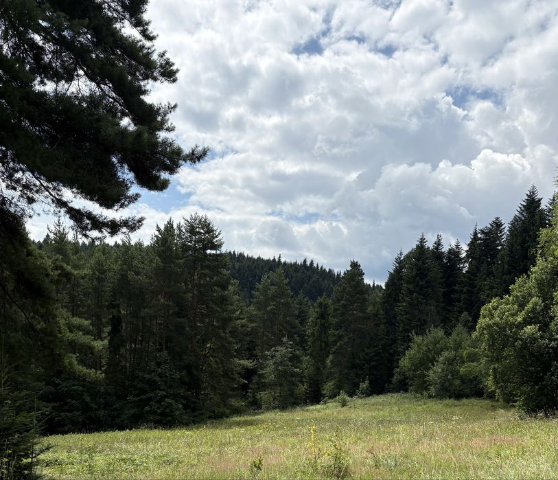 Działka 24 ary- Słopnice - przy szlaku na Mogielicę