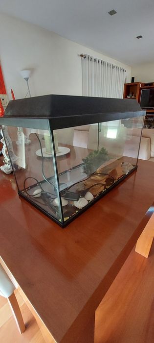 Aquário como Novo