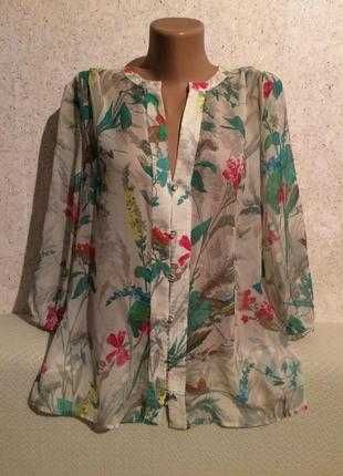 Блузи, сорочки, кофтинки,  батал 56