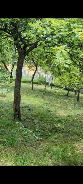 Продається добротна оселя в селищі Смолин. Львівської обл.