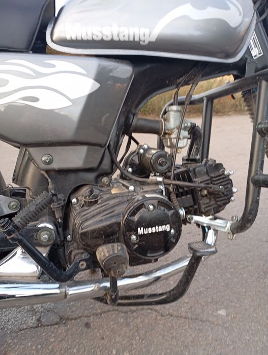 Musstang Alfa MT125-2