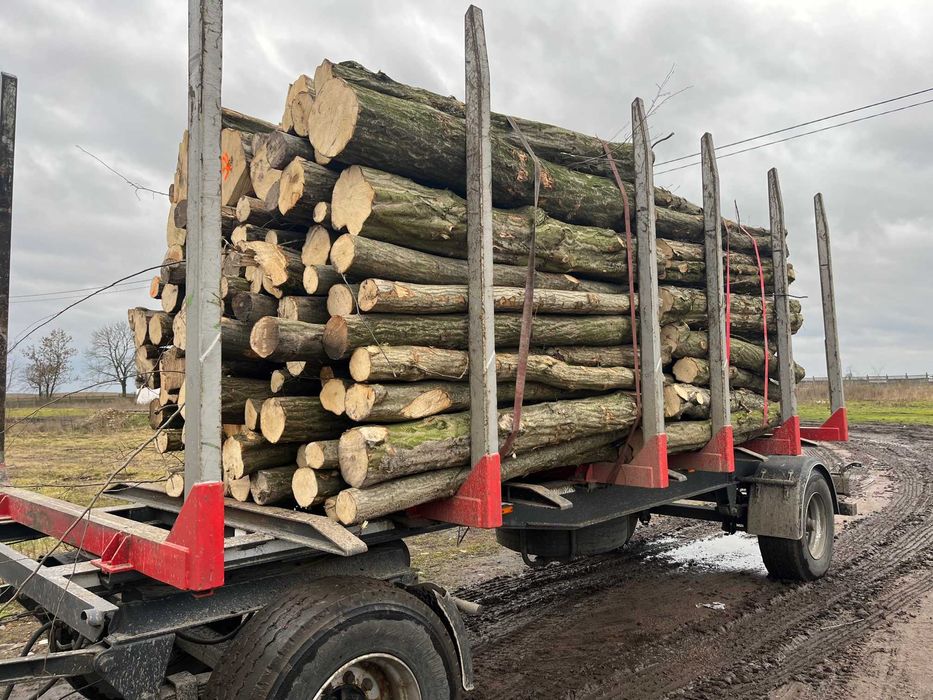 Drewno Opałowe - Grab wałki