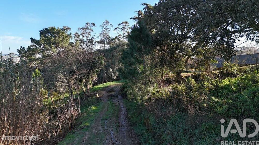 Terreno Agrícola em Mafra